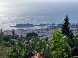 Blick vom Monte in den Hafen