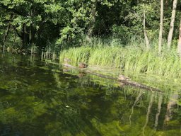 Unterwegs in der Natur