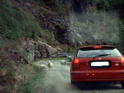 Auf der Fahrt zum Parkplatz