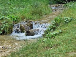 Kleiner Wasserfall